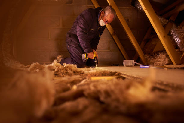 Best Blown-in Insulation  in Antelope, CA